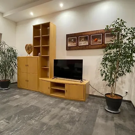 Mesum Apartment *